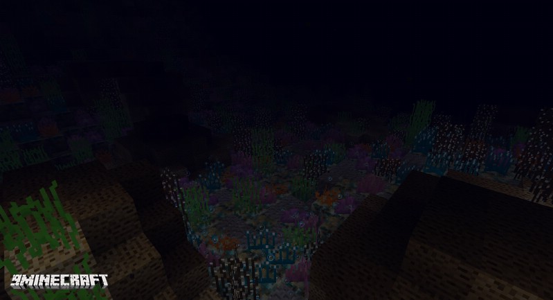CoralReef Mod (1.19.2, 1.18.2) - Small Aesthetic Mod 4